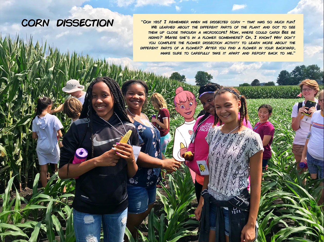 Corn Dissection
